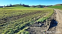 20230110_150714 - Dalla terra... il grano